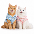 Cat Corner Icon