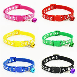 Dog Harnesses & Leashes