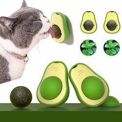 cat-ball-toy