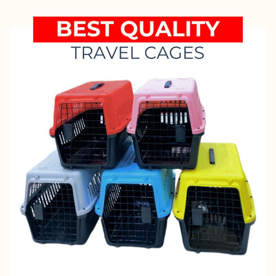 Portable Pet Carrier Travel Jet Box Cage Crate Carrier Box For Cat And Puppy
