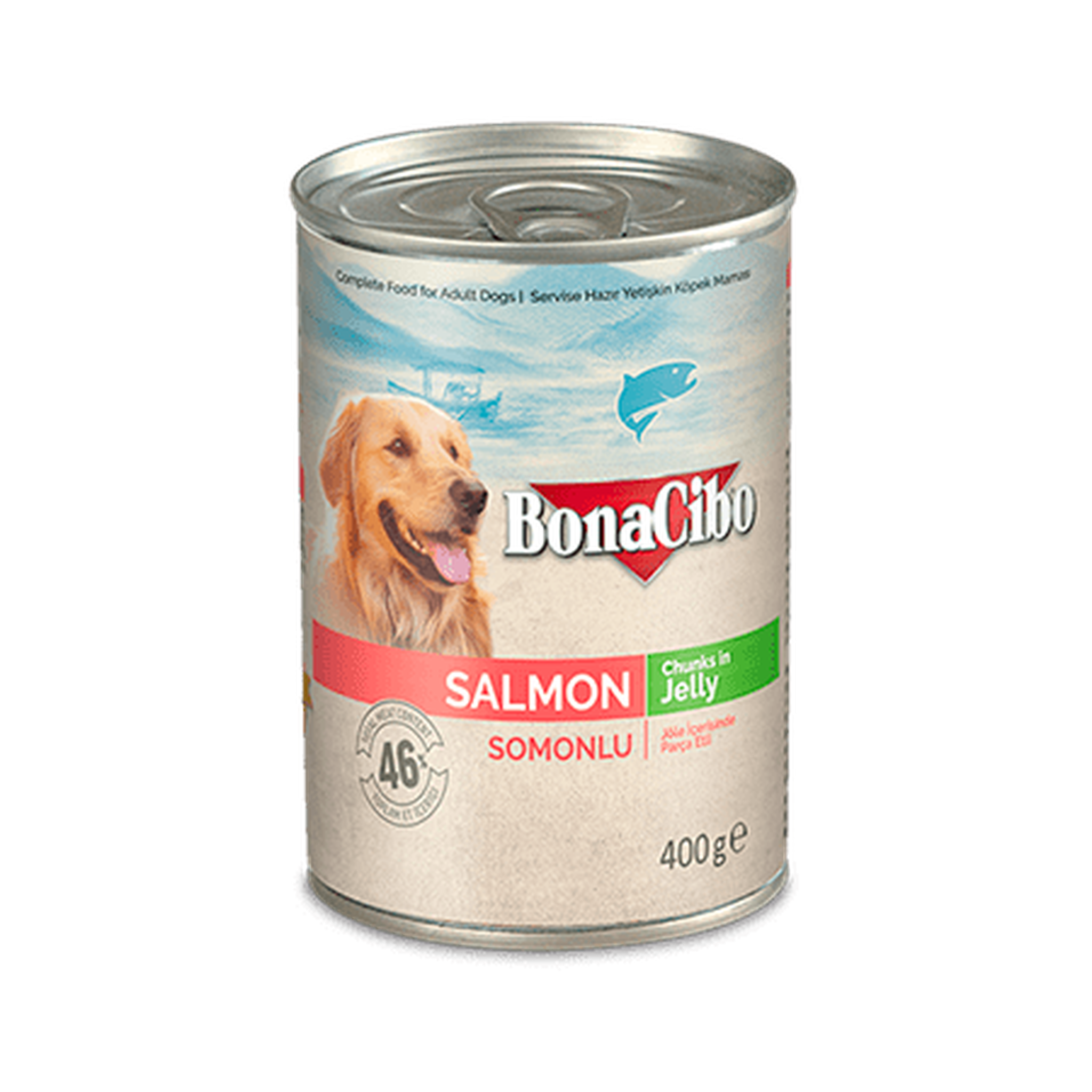 Bonacibo Canned Dog Food Salmon 400g