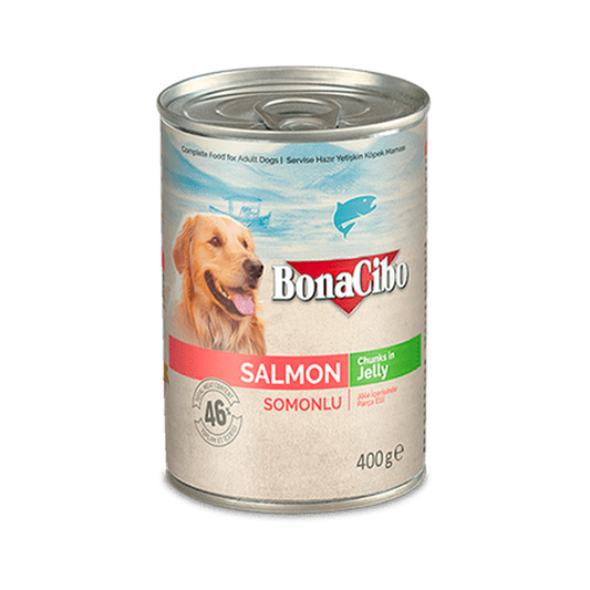 Bonacibo Canned Dog Food Salmon 400g