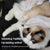 Pet Wipes - Pet Glove Wipes For Cat & Dog Gloves Spa