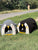 Penguin Face  Pet Bed - 2 in 1 Cat house & Couch for Cats