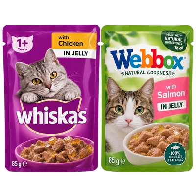 Wet Food