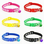 Dog Harnesses & Leashes