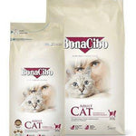 Dry Food